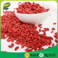 EU standard dried goji berries with low pesticide residues